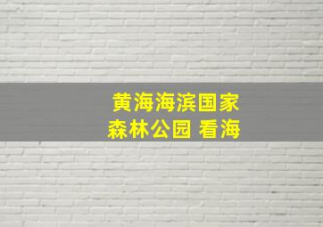 黄海海滨国家森林公园 看海